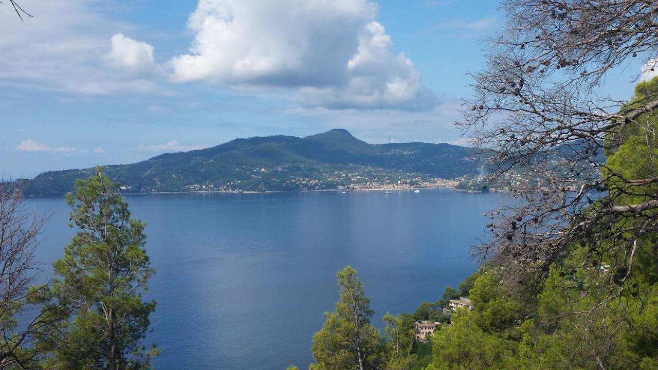 Vicino A Portofino E Alle Cinque Terre - Near Portofino And Cinque Terre Zoagli Exterior photo